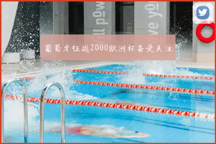 葡萄牙征战2000欧洲杯备受关注