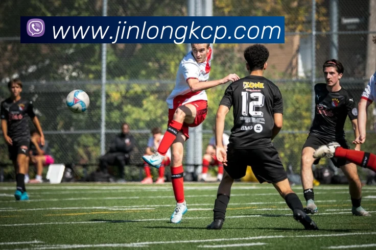 App Interface Preview